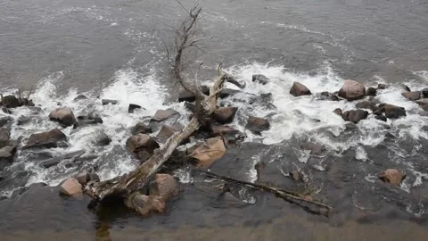 The Loire Stock Footage 141339804