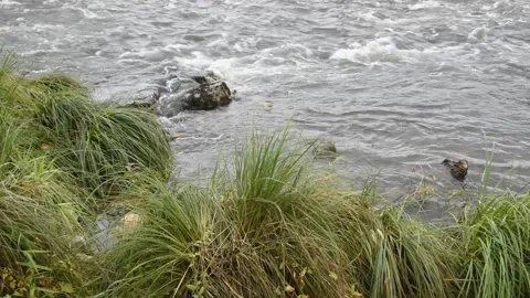 The Loire Stock Footage 141506865