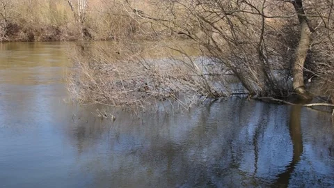 The Loire Stock Footage 149080833
