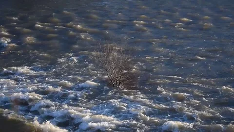 The Loire in winter Stock Footage 85324878