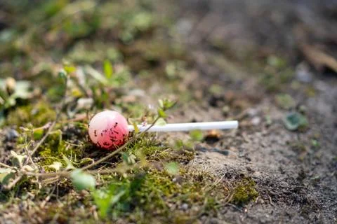A lollipop on the ground Stock Photos