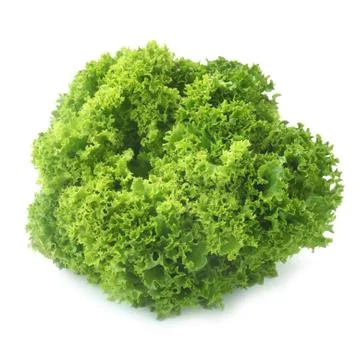 Lollo Bionda Foto stock