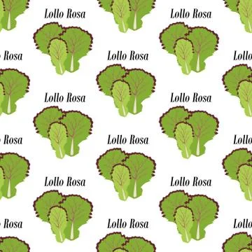 Lollo rosa seamless pattern Stock Illustration