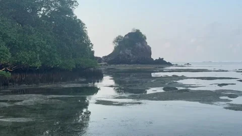 Lombok beach during low tide Stock Footage 277595752
