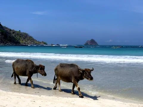 Lombok Stock Photos