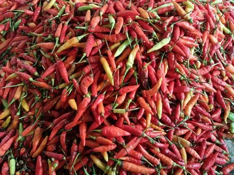 Lombok's harvest. Stock Photos