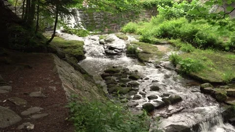 Lomnica river Stock Footage 169796278