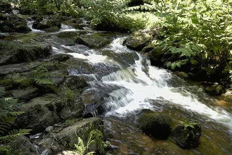 Lomnica river Stock Photos