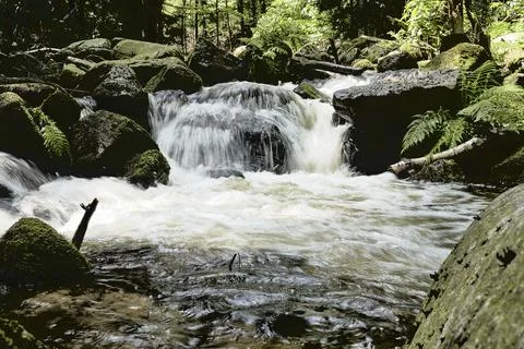 Lomnica river Stock Photos