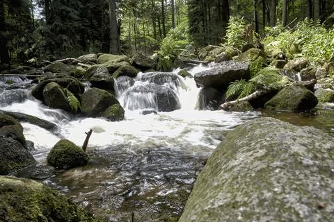 Lomnica river Stock Photos