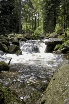 Lomnica river Stock Photos