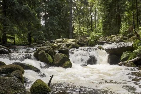 Lomnica river Stock Photos