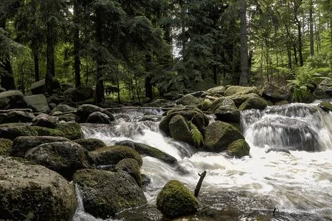 Lomnica river Foto stock