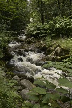 Lomnica river Stock Photos