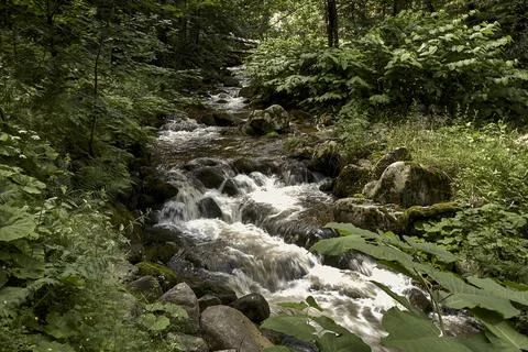 Lomnica river Stock Photos