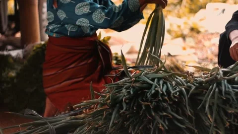 Loncang. Stock Footage 272283714