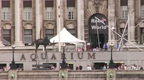 LONDON AQUARIAM Stock Footage 10810536