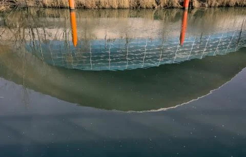 London Aquatics Stock Photos