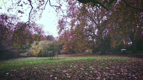 London in Autumn - St James Park Autumn Leaves Stock Footage