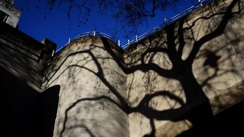 London Bridge time lapse.  Shadow of tree moving along the wall Video stock 74750946