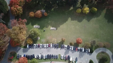 London Canada, fall colours as the trees change colour Stock Footage 219281493