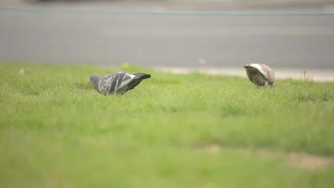 London During Lockdown - 3rd May 2020 Stock Footage 130717191
