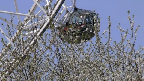 London Eye Capsule Video stock 88675306