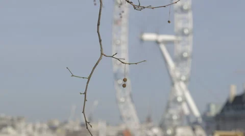 London Eye Stock Footage 50173842