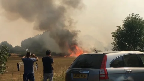 London Forest Fire Burining Climate Change Wildfire Heatwave Summer Stock Footage 113972293