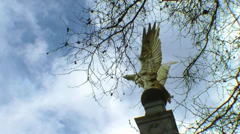 London Golden Eagle 1 Stock Footage 28012110