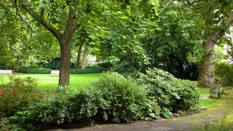 London green grass and trees city park Marylebone Stock Footage 80284177
