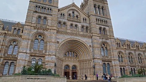 London Natural History Museum Time Lapse Video Stock Footage
