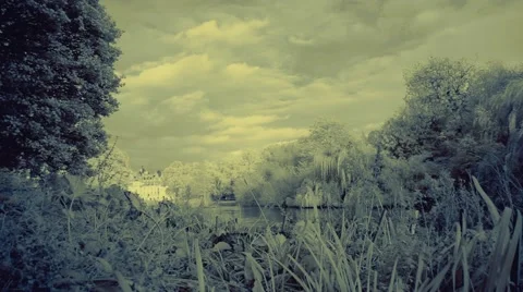 London park Stock-Footage 42797536