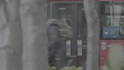 London red bus through tree branches Stock Footage 219314635
