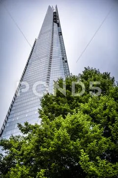 London skyscraper and tree Stock Photos