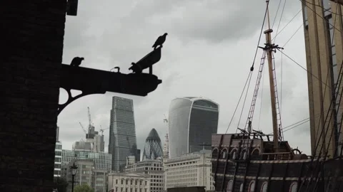 London Skyscraper Stock Footage 243195603