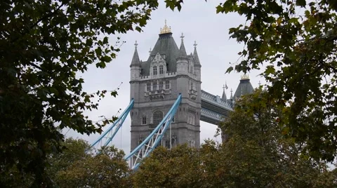 London Tower Bridge Framed through Trees Vidéo 59738345