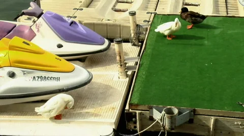 Londonbridge01 Stock Footage 506552