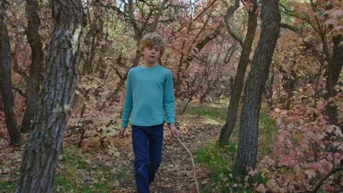 Lone 8 year old boy walks down mountain path in autumn with walking stick Video stock 194460655