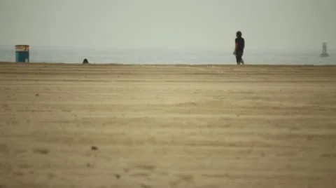 Lone Beach Walker Stock Footage 11442478