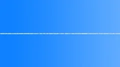 Lone bird twittering Sound Effect