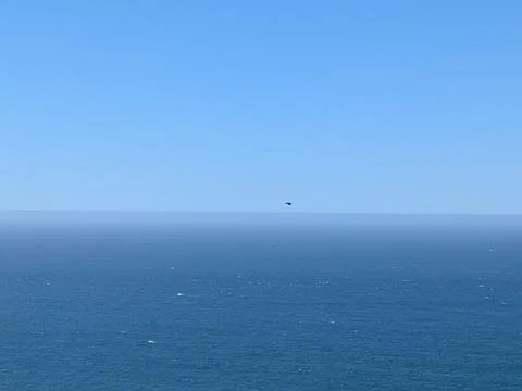 A lone black bird soars over a vast blue ocean beneath a cloudless sky, 库存照片