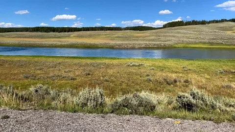 A lone buffalo is seen on the side of the road in Yellowstone National Stock Footage 115095357