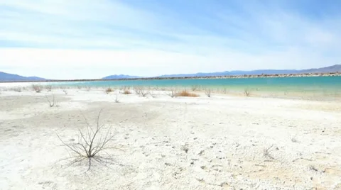 Lone Bush on a White Sand Beach Video stock 38107635