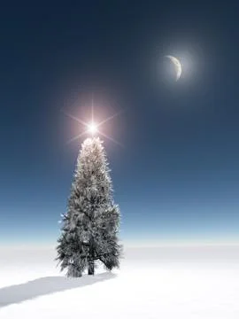 Lone Christmas Tree 스톡 일러스트
