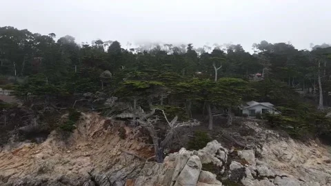 Lone Cypress Pebble Beach, CA Stock Footage 176154785