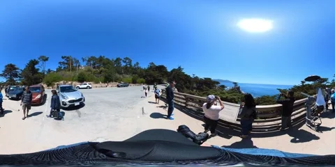 Lone Cypress VR 360 Equirectangular POV 01 17 Mile Drive California Coast USA Video stock 239928037