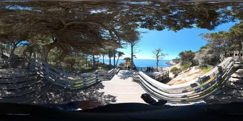 Lone Cypress VR 360 Equirectangular POV 03 17 Mile Drive California Coast USA Vidéo 239929192