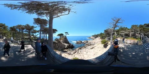 Lone Cypress VR 360 Equirectangular POV 04 17 Mile Drive California Coast USA Video stock 239929265