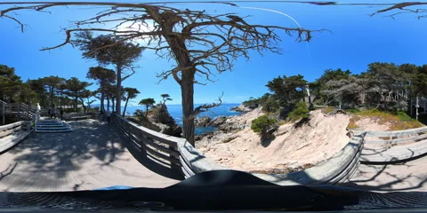 Lone Cypress VR 360 Equirectangular POV 05 17 Mile Drive California Coast USA 스톡 동영상 242103058
